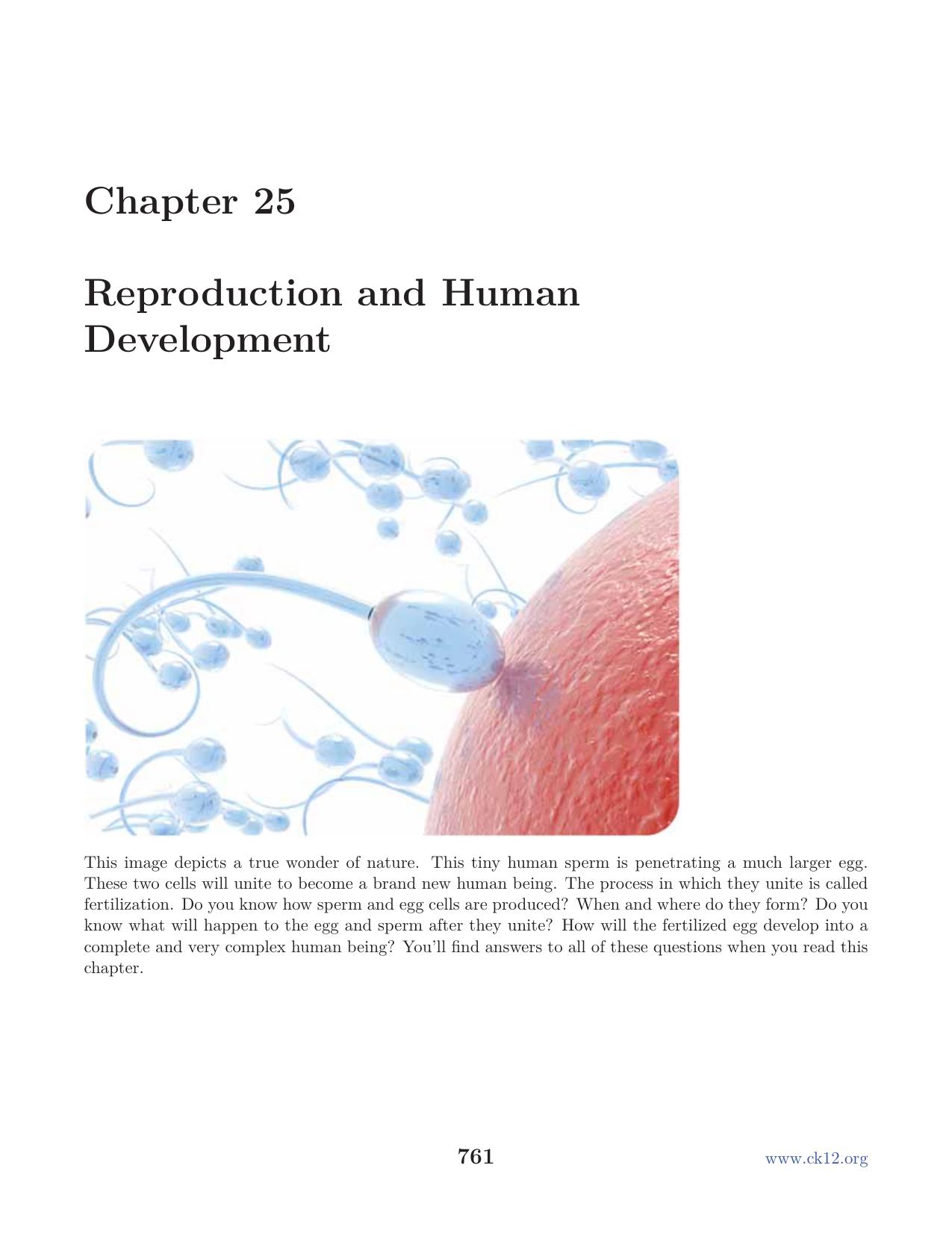 Biology : Chapter 25